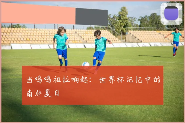 当呜呜祖拉响起：世界杯记忆中的南非夏日