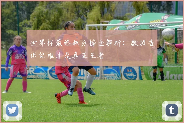 世界杯最终积分榜全解析：数据告诉你谁才是真正王者