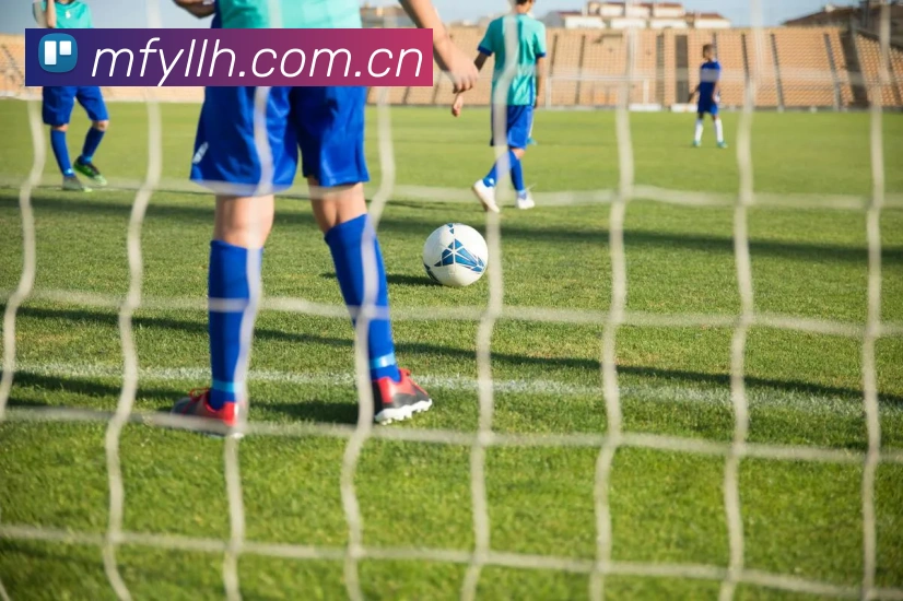 App Interface Preview