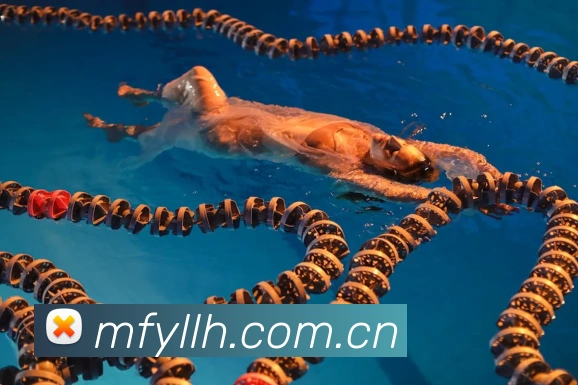 必一运动b体育官网APP 封面图